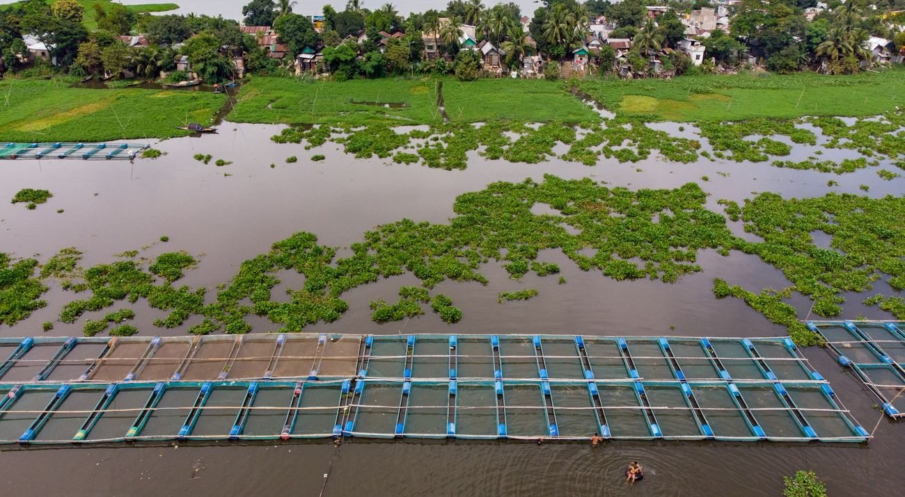 AQUACULTURE